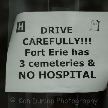 VanLife - Fort Erie Explored - Poster